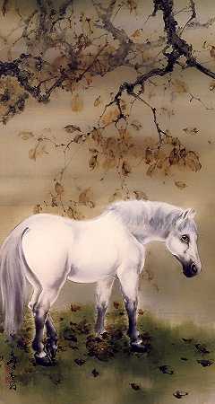 白马威士忌`White Horse