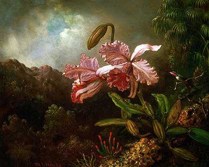 丛林中的兰花，1871-1874`Orchids in a Jungle, 1871-1874 by Martin Johnson Heade