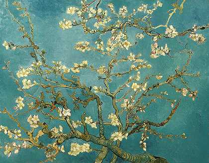 杏花`Almond Blossoms