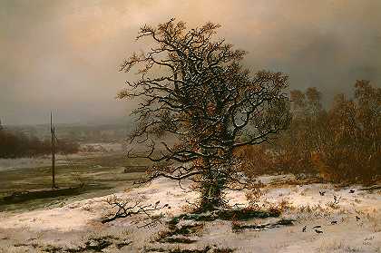 冬天易北河边的橡树`Oak Tree by the Elbe in Winter