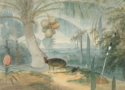 锡兰的一片风景，有汪汪的鹿和小鹿，还有一对天堂捕蝇器`A Landscape in Ceylon, With Barking Deer and Fawn and a Pair of Paradise Fly~Catchers (between 1808 and 1811) by Samuel Daniell