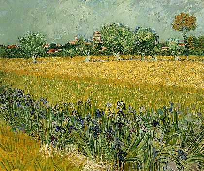 阿尔勒附近有花的田野`Field with Flowers near Arles