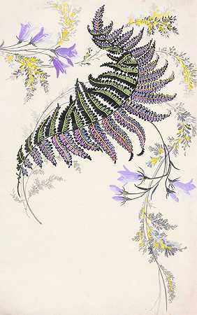 黑色、绿色、紫色和金色的羽毛状大叶子`Large feather~like leaf formation in black, green, purple, and gold (late 19th century)