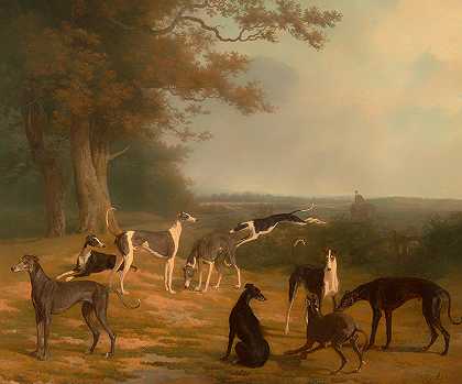 风景中的九只灰狗`Nine Greyhounds in a Landscape