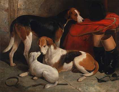 一对猎狐犬和一只猎犬`A Couple Of Fox Hounds With A Terrier
