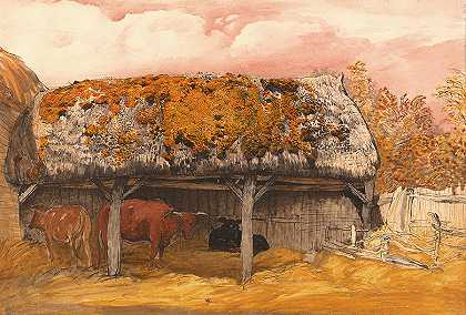 屋顶长满苔藓的奶牛`A Cow With A Mossy Roof