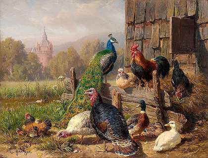 彩色家禽`Colorful Poultry