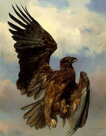 受伤的老鹰`The Wounded Eagle