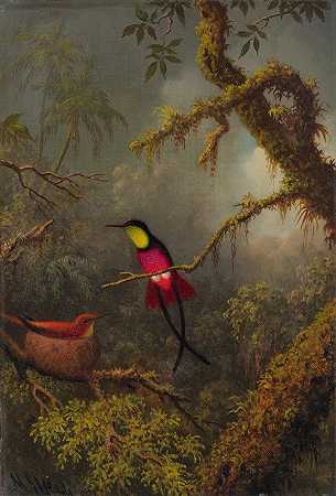 一对筑巢的深红色黄玉蜂鸟`A Pair Of Nesting Crimson Topaz Hummingbirds (circa 1875~83) by Martin Johnson Heade