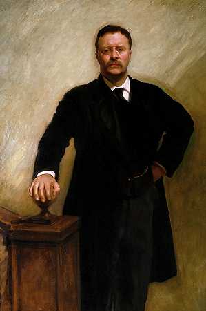 西奥多·罗斯福总统`President Theodore Roosevelt
