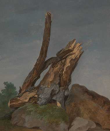 岩石和树枝的研究`Study of Rocks and Branches by George Augustus Wallis