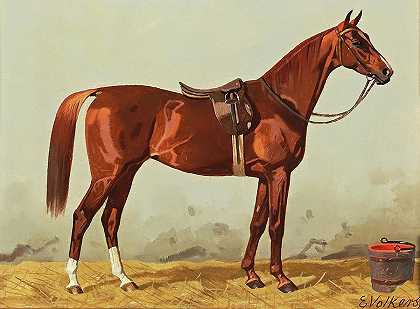 马厩`Horse In Stall