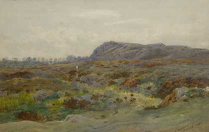 荒野景观`Moorland Landscape by Archibald Thorburn