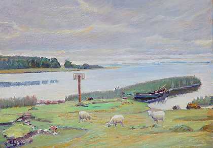 峡湾附近的羊`Sheep Near Fjord