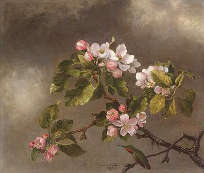 蜂鸟和苹果花`Hummingbird and Apple Blossoms (1875) by Martin Johnson Heade