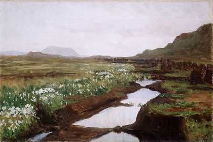 吉林泥炭沼泽的研究`Study of a Peat Bog on Jæren (ca. 1897) by Kitty Kielland