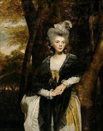 弗朗西斯·芬奇夫人`Lady Frances Finch by Sir Joshua Reynolds