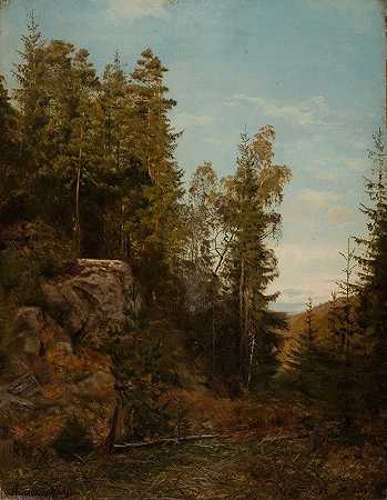 林业，比利时，曼德尔`Skoginteriør. Bjelland, Mandal (1862) by Amaldus Nielsen