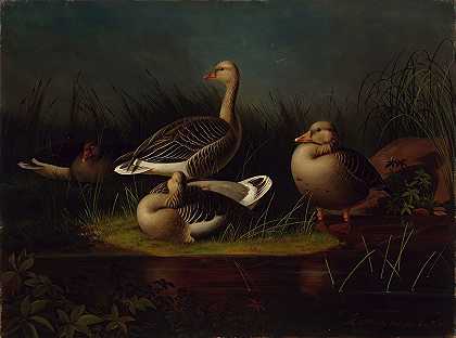 Greylag Geese，模仿Ferdinand Von Wright`Greylag Geese, Copy After Ferdinand Von Wright (1866) by Magnus Von Wright