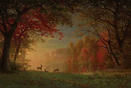 印度日落——湖边的鹿`Indian Sunset – Deer By A Lake