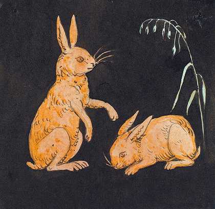 黑色背景上的两只兔子。装饰草图`To harer (kaniner) på sort baggrund. Dekorativt udkast (1816 ~ 1875) by P. C. Skovgaard