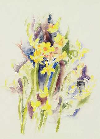 小水仙花`Small Daffodils