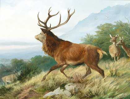 发情季节的马鹿`Red Deer in the Rutting Season (1888) by Carl Friedrich Deiker