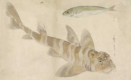 两条鱼磅和鲱鱼`Twee vissen; poon en haring (1836) by Ishikawa Kazan