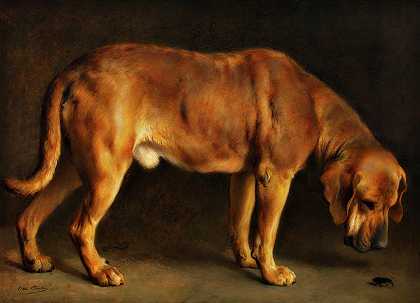 还有Broholmer狗`A Broholmer Dog
