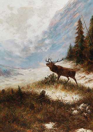 冬季景观中的块茎鹿`Röhrender Hirsch in Winterlandschaft by Franz Xaver von Pausinger