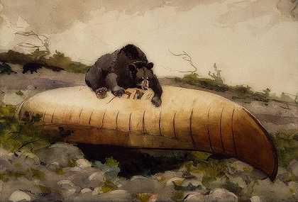 熊和独木舟`Bear And Canoe
