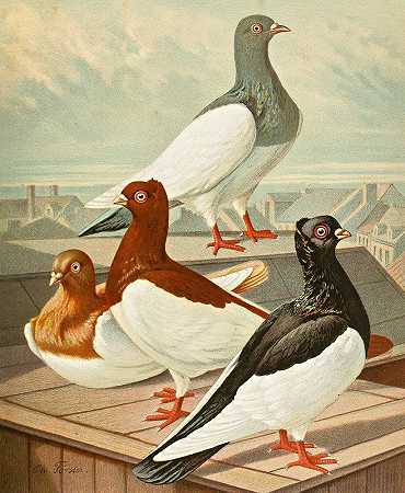 丹麦喜鹊`Dänisch Elster (1884~1886) by Gustav Prütz