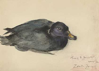 黑海鸭`Zwarte zee~eend (1885 ~ 1945) by Frederika Henriëtte Broeksmit
