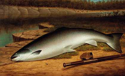大鱼，河岸上的鲑鱼`The Big Catch, A Salmon On A River Bank