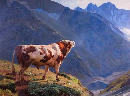 阿尔卑斯山上的公牛`Bull In The Alps