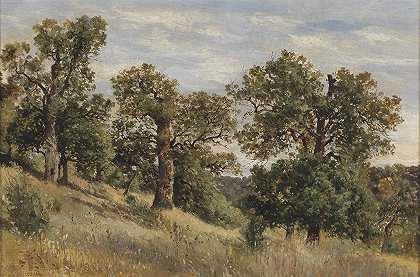 有树的山坡`Berghang mit Baum by Theodor Von Hörmann