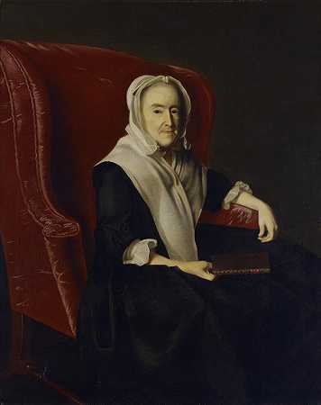 约翰·鲍威尔夫人（安娜·苏珊·达默）`Mrs. John Powell (Anna Susan Dummer) (1764) by John Singleton Copley