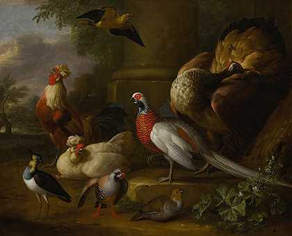 风景中的孔雀、野鸡、鸡、鹧鸪和一只知更鸟`Peacock, pheasant, chickens, partridges and a lapwing in a landscape by Tobias Stranover