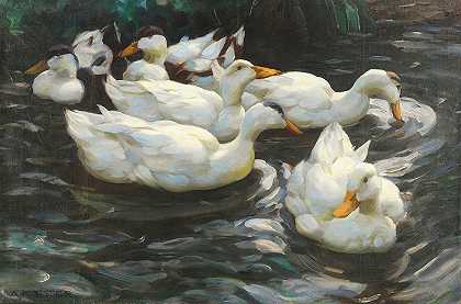 水中有六只鸭子，`Sechs Enten im Wasser, (Ca. 1900~1905) by Alexander Koester