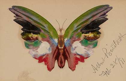 蝴蝶`Butterfly (1891) by Albert Bierstadt