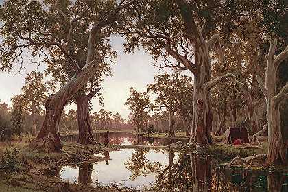 南澳大利亚默里的死水`Backwater Of The Murray, South Australia