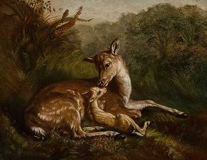 鹿和小鹿`Deer and Fawn (1870) by Arthur Fitzwilliam Tait