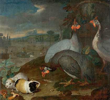 珍珠鸡`Perlhühner Mit Meerschweinchen (1725) by Philipp Ferdinand de Hamilton