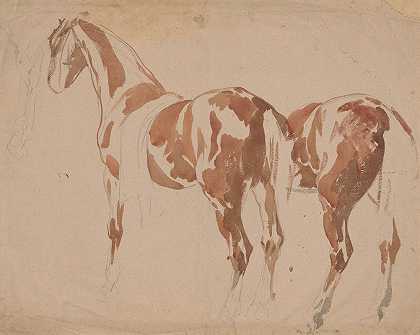 研究马和它的屁股`Studium konia i jego zadu (1832~1835) by Piotr Michałowski