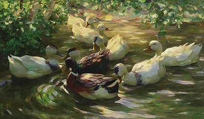池塘上的鸭子`Ducks On A Pond