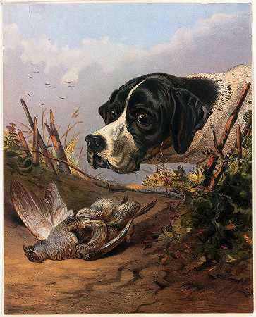 狗头`Dogs Head (ca. 1861–1897) by Arthur Fitzwilliam Tait