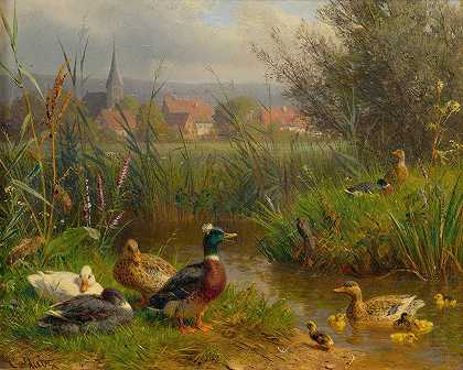 鸭子`Ducks by Carl Jutz
