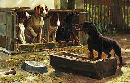 养狗的狗认为公墓狗`Dog Farm Dogs Consider A Cemetery Dog