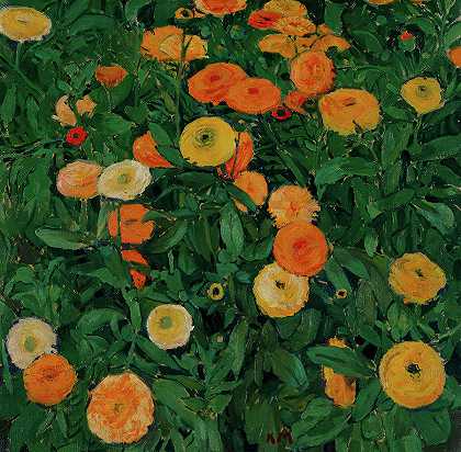 金盏花`Marigolds