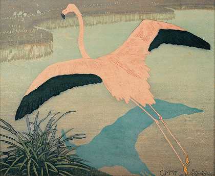 火烈鸟`Flamingo (1922) by Carl Moser
